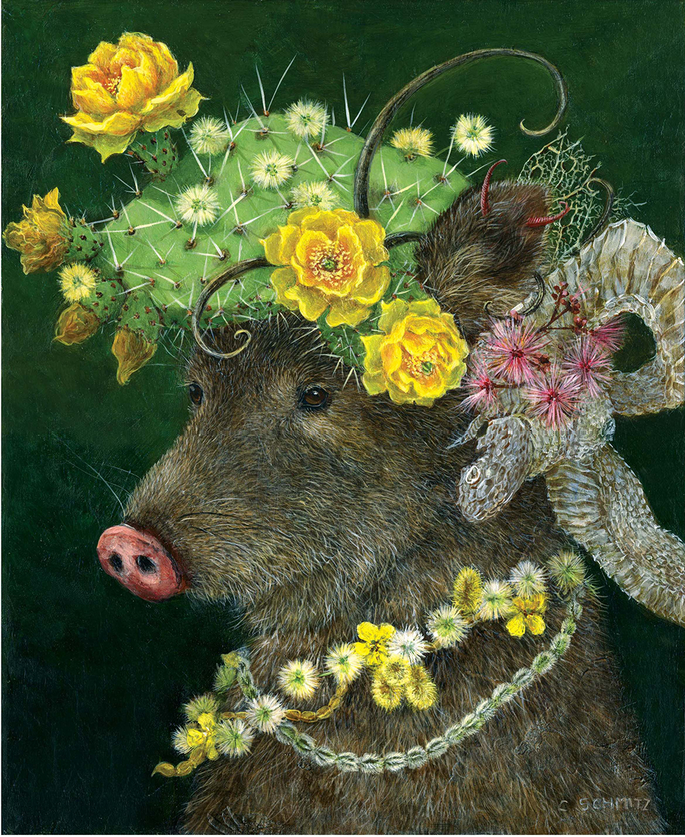 Javelina in the Spring