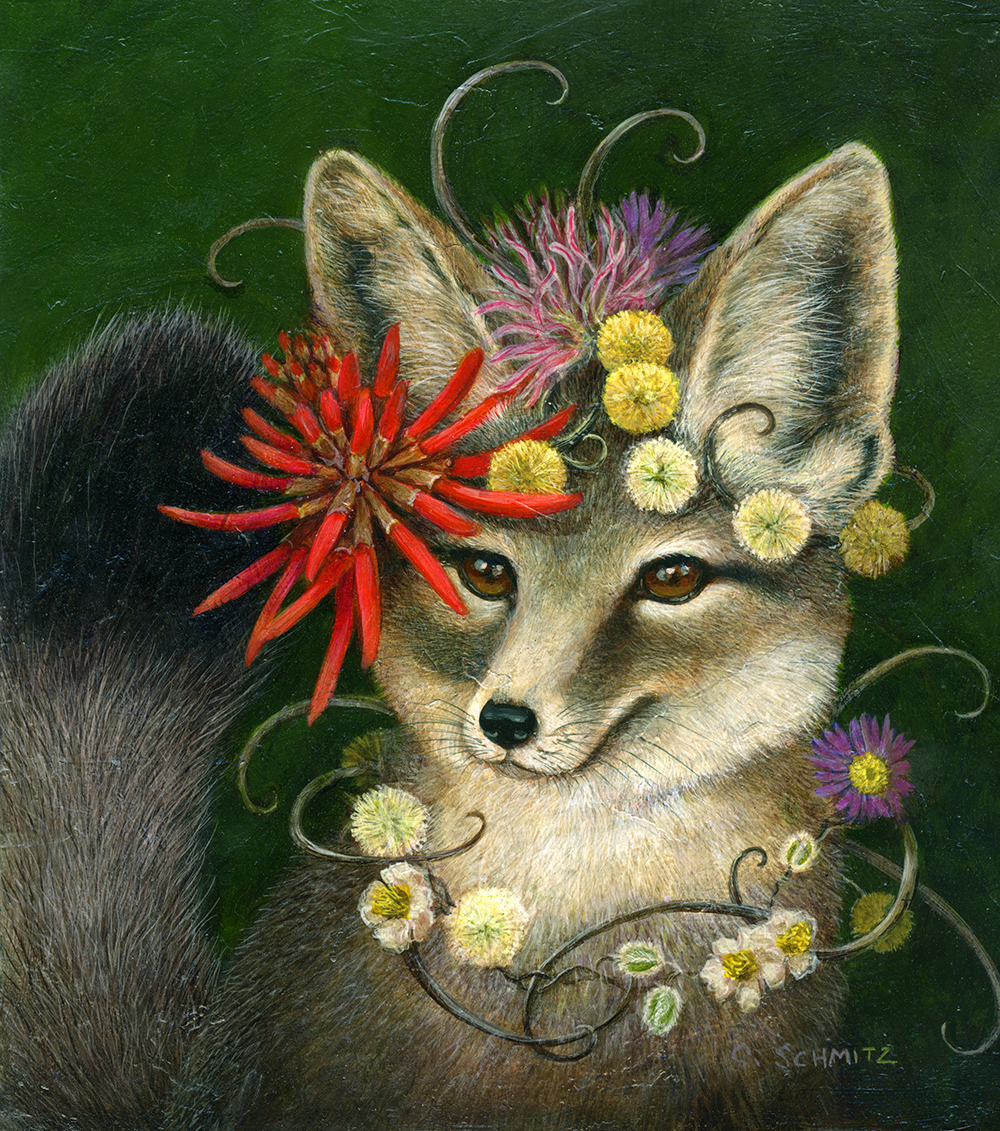 Kit Fox in Coral